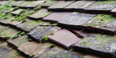 Canton roof repair costs